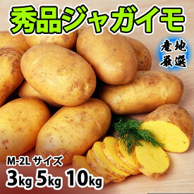 【楽天1位*北海道産】じゃがいも 秀品 M～ Lサイズ 3kg 5kg 10kg メークイーン とうや 男爵 品種任せ 北海道 国産 野菜 ジャガイモ 馬鈴薯 越冬 男爵芋 キタアカリ メークイン 家庭用 おうち用 おうちグルメ 人気 北海道