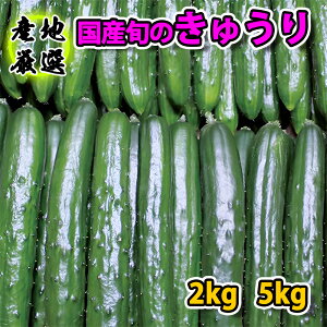 yYn蒼zイ ӉZ Gi MLTCY 2L 5L Y  t B   イ  Еp