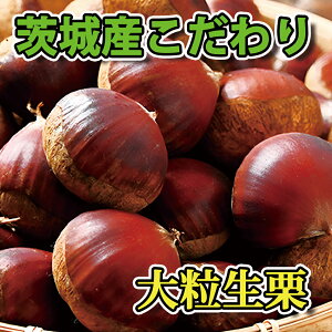 yyV1*YzI I Y Y Gi 1kg 󂠂i L 2L 3L aI Y {̉ʕ Ȃ܂ HiX I IƂ u Ir َq XC[c