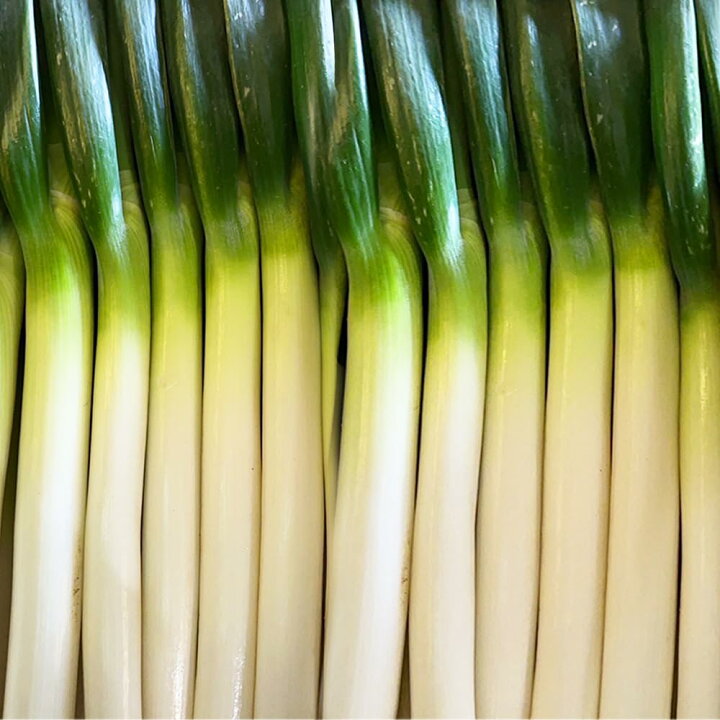 楽天市場】【大人気野菜】長ねぎ 5キロ/箱 30本前後入 埼玉/茨城/群馬 