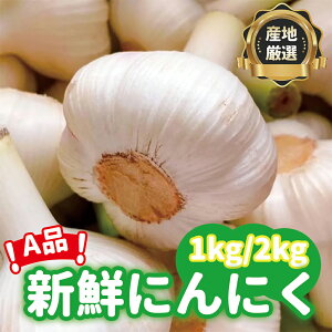 y2025NYVzɂɂ X Y Ai 1kg/2kg VN ɂɂ Gi S`LTCY jjN ɂɂ Ɩp ƒp ނȂ ɂɂȂ V ߘa7NxY
