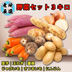 【旬の定番野菜】 野菜セット　約3キロ　季節の新鮮野菜　3品目　さつまいも約1kg　じゃがいも約1kg　蓮根約0.9kg　野菜詰め合わせ　定番 万能 ご家庭用 大量