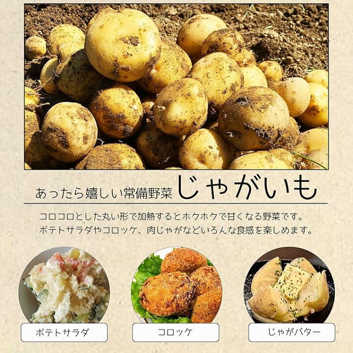 楽天市場】【旬の定番野菜】野菜セット5キロ 季節の新鮮野菜 5品目 