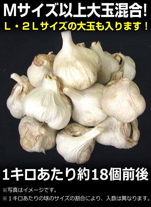 楽天市場】青森県産にんにくM～2 Lサイズ 約1kg18個前後 秀品 ホワイト 