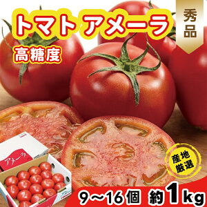 g}g x t[cg}g A[ Gi 950g`1kg 9`16 쌧Y ÉYȂǍY Ƃ܂  xW^u O uh@MtgΉ ̓/̓ j  Ε