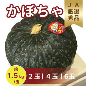【産地厳選】南瓜 かぼちゃ 秀品 完熟 ほくほく 国産 茨城 北海道 メキシコ産2玉 4玉 6玉組 約1．5キロ／玉 カボチャ 子供から大人用 家庭用 業務用煮物 グルメ