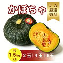 【産地厳選】南瓜 かぼちゃ 秀品 完熟 ほくほく 国産 茨城 北海道 メキシコ産2玉 4玉 6玉組 約1．5キロ／玉 カボチャ …
