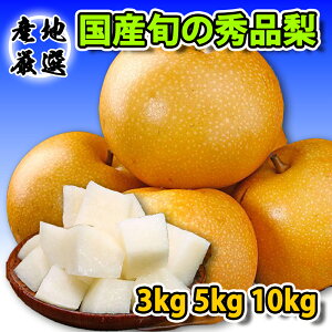 y1ő100|CgobNIvGg[z Y Gi {̗ iC 2kg/2.5kg/5kg/10kg  K Ȃ L Â H K L V V ɂ H̖o ʕ