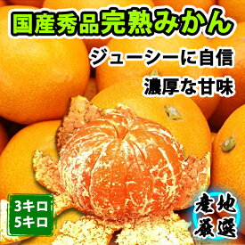 【旬の果物】みかん 国産みかん 秀品　味まる 味っ子 夢未来 南柑20号 させぼ温州みかん 赤秀 糖度10度以上 2L＆3Lサイズ 3kg約18個 5kg約25個 愛媛 長崎 熊本 和歌山 佐賀 静岡　蜜柑 ミカン 西海 お取り寄せ フルーツ 果物 ギフト 贈答 プレゼントお歳暮贈答用