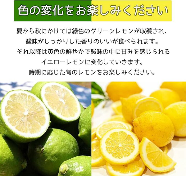 楽天市場】【安心＆安全】レモン 国産レモン 訳あり品 レモンジュース 