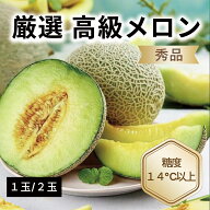 ＼楽天スーパーセール半額！/メロン 高級メロン 国産 茨城産 千葉産 山形産 旬のメロン 青肉 アンデスメ…