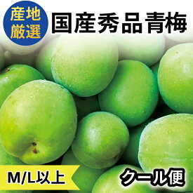 産地厳選 青梅 あおうめ 今年の新物 茨城産 和歌山産 福島産 山形産 国産 秀品 1kg,2kg,3kg,5kg,10kg 手摘み　混合サイズ 産地おまかせ 大粒 うめ ご家庭用 梅干 梅酒 梅ジュース 梅シロップ 梅甘露 カリカリ梅　クール便