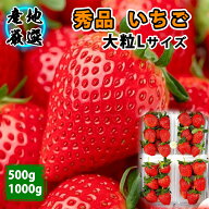 【産地直送翌日配達】いちご 秀品 厳選 とちおとめ スカイベリー やよいひめ 品種任せ ギフト 栃木 茨城 …