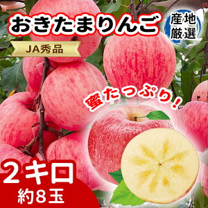 YnI@܂񂲁@u񂲁@Ղ@JAGi@2L8ʁ@R`Y@S@񂲁@v[gEMtg@Ε@@~Mtg@蕨@t[c@ʕ