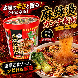 麻辣湯 マーラータン まーらーたん カップ麺 カップラーメン 1個/4個/5個セット 65g/個 痺辛 シビ辛 旨辛 激辛面 麻辣 スパイス スパイシー 中華味 マーラー 即席春雨