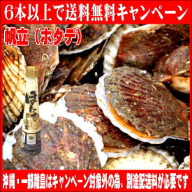 帆立〈ほたて〉　だしの素　顆粒タイプ　瓶100g【メール便不可】【沖縄、一部離島を除き6本以上で送料無料対象商品（その他対象商品と混載OK）】