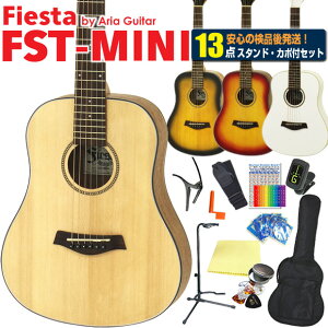 AR[XeBbNM^[ ~jM^[ ARM ~j S  13_Zbg FIesta by Aria FST-MINI tBGX^ AA yARMSҁzyagmgz