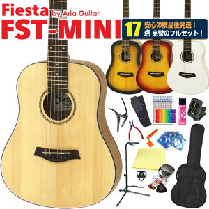 AR[XeBbNM^[ ~jM^[ ARM ~j S  nCO[h 17_Zbg FIesta by Aria FST-MINI tBGX^ AA yARMSҁzyagmgz