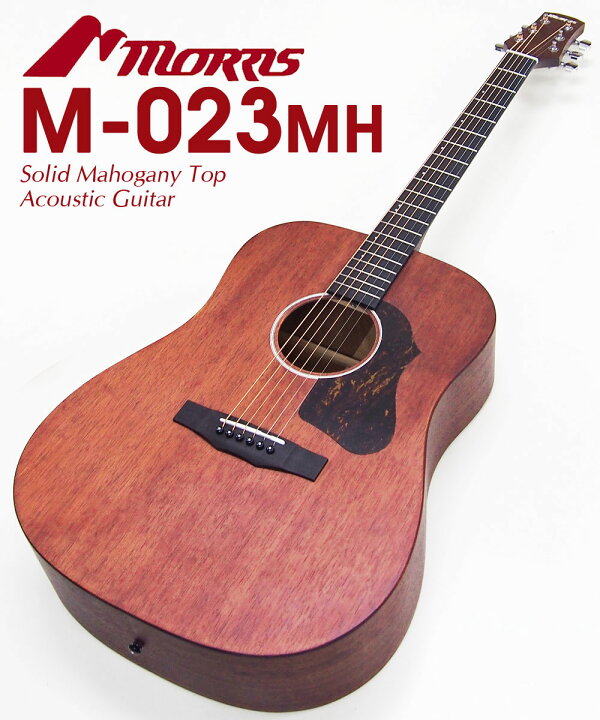 楽天市場】アコースティックギター Morris M-023 MH モーリス 