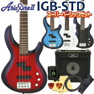 x[X S  Aria Pro II AA v IGB-STD 8_ x[VbNZbg GLx[X yx[XSҁz