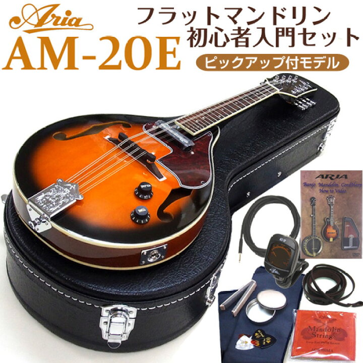 楽天市場】マンドリン ARIA アリア AM-20E 初心者 11点セット 