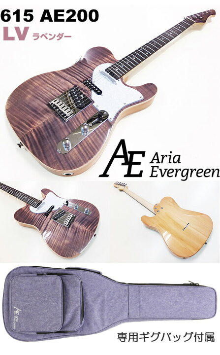 楽天市場】エレキギター 初心者セット 入門セット AriaProII 615 AE200 