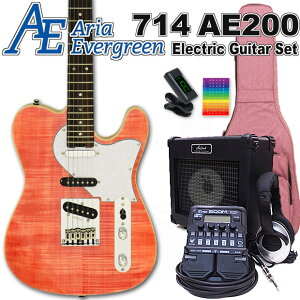 AriaProII 615 AE200 MP AAEG@[O[ GLM^[S 18_Zbg ZOOM G1FourtyGL M^[SҁzyGNgbNM^[z