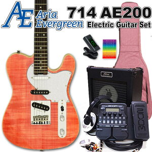AriaProII 615 AE200 MP AAEG@[O[ GLM^[S 18_Zbg ZOOM G1XFourtyGL M^[SҁzyGNgbNM^[z