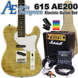 AriaProII 615 AE200 YG AAEG@[O[ GLM^[S 18_Zbg MarshallAvZOOM G1FourtyGL M^[SҁzyGNgbNM^[z
