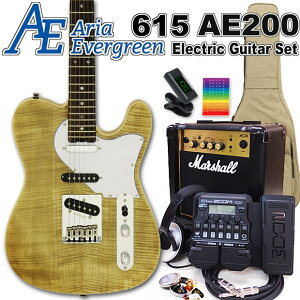 AriaProII 615 AE200 YG AAEG@[O[ GLM^[S 18_Zbg MarshallAvZOOM G1XFourtyGL M^[SҁzyGNgbNM^[z