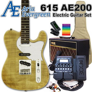 AriaProII 615 AE200 YG AAEG@[O[ GLM^[S 18_Zbg VOXAvZOOM G1XFourtyGL M^[SҁzyGNgbNM^[z