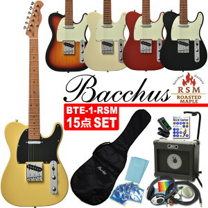 Bacchus BTE-1-RSM/M obJX GLM^[ S҃Zbg 15_ ZbgyGNgbNM^[zyG13z