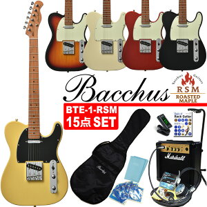 Bacchus BTE-1-RSM/M obJX GLM^[ MarshallAvuMG10vt S҃Zbg 15_ZbgyGNgbNM^[zyG13Mz