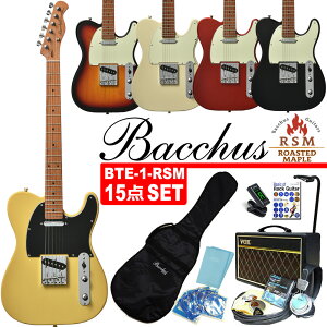 Bacchus BTE-1-RSM/M obJX GLM^[ VOXAvuPF10vt S҃Zbg 15_ZbgyGNgbNM^[zyG13Vz