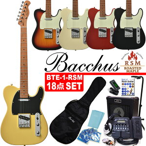 Bacchus BTE-1-RSM/M obJX GLM^[ ZOOM/G1XFour Aria/AG10t S҃Zbg 18_ZbgyGNgbNM^[zyG16Xz