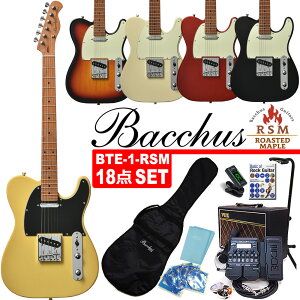Bacchus BTE-1-RSM/M obJX GLM^[ ZOOM/G1XFour VOX/PF10t S҃Zbg 18_ZbgyGNgbNM^[zyG16XVz