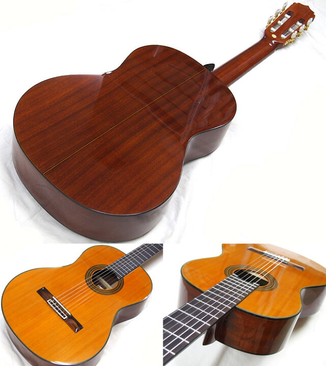楽天市場】ARIA アリア クラシックギター A-20 セダートップ単板モデル 