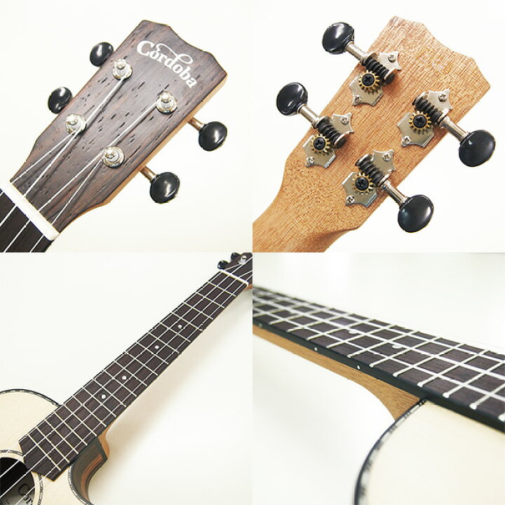 楽天市場】Cordoba コルドバ ウクレレ 21T-CE テナー スプルース単板 