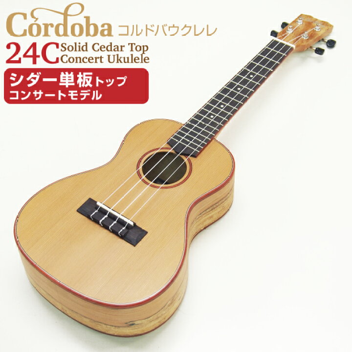 楽天市場】Cordoba コルドバ ウクレレ 24C コンサート シダー単板 