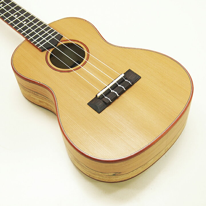 楽天市場】Cordoba コルドバ ウクレレ 24C コンサート シダー単板 