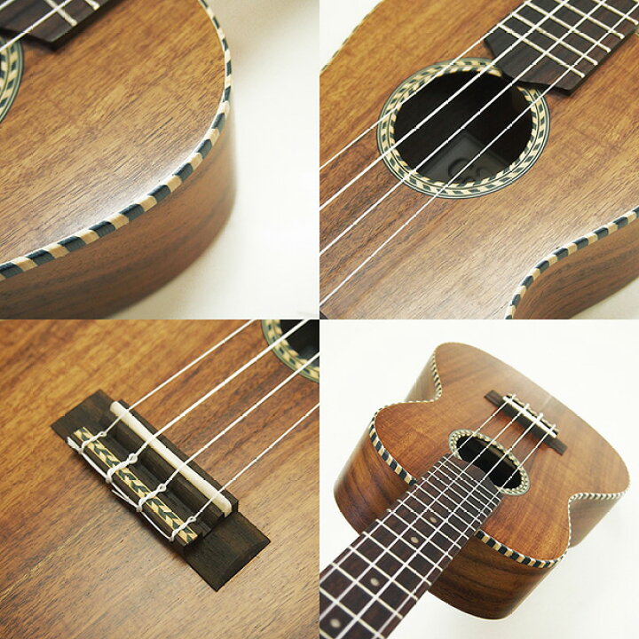 楽天市場】Cordoba コルドバ ウクレレ 25C コンサート アカシア単板  