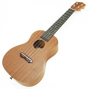 AEgbg EN AA AU-2C RT[g PiAEgbg(u)