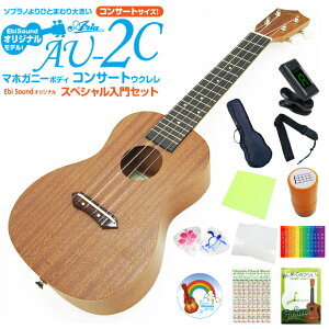 EN AA AU-2C RT[g XyV12_Zbg}zKj[ Aria ()(\)(Ghst)(EbiSoundIWi)(u)