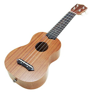 AEgbg EN AA AU-2 uE Aria Ukulele \vm AEgbg (u)