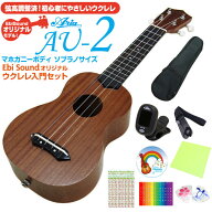 ウクレレ アリア AU-2 ソプラノ 初心者9点セット マホガニー Aria 弦高調整済 (甘い音色)(EbiSoundオリジ…