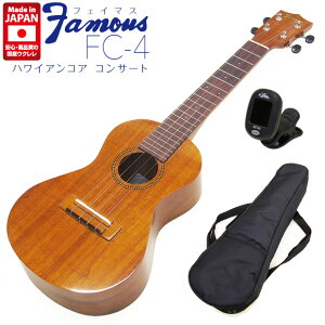 Famous tFC}X YEN FC-4 RT[g `[i[t nCARA{fB(S̓{)(FC-5G̏ʃf)(\)(u)