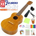 Famous フェイマス 国産ウクレレ FC-5G コンサート スペシャル12点セット ハワイアンコア(安心の日本製)(華やかな音色…