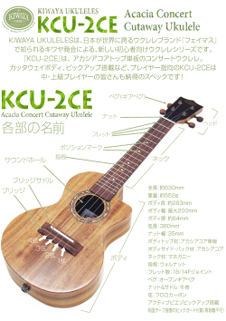 楽天市場 キワヤ ウクレレ コンサート Kcu 2ce アカシアコアトップ単板 ピックアップ搭載 単品ケース付 Kiwaya Ukulele ハワイアンコアのような華やかな音色 U Ebisoundオンラインショップ