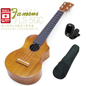 Famous tFC}X YEN FLS-5GC \vm OlbN nCARA Jb^EFC`[i[ UPT({)(u)