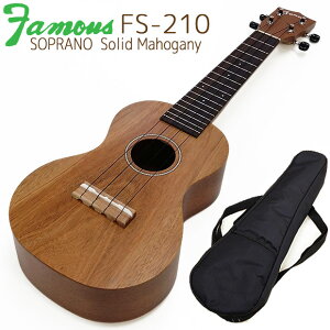 Famous FS-210 \vmEN zWX}zKj[P `[i[t tFC}X(14fWCg)(nCubhV[Y )(u)